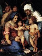 Andrea del Sarto Madonna and Child with St Elisabeth, the Infant St John, and Two Angels china oil painting artist